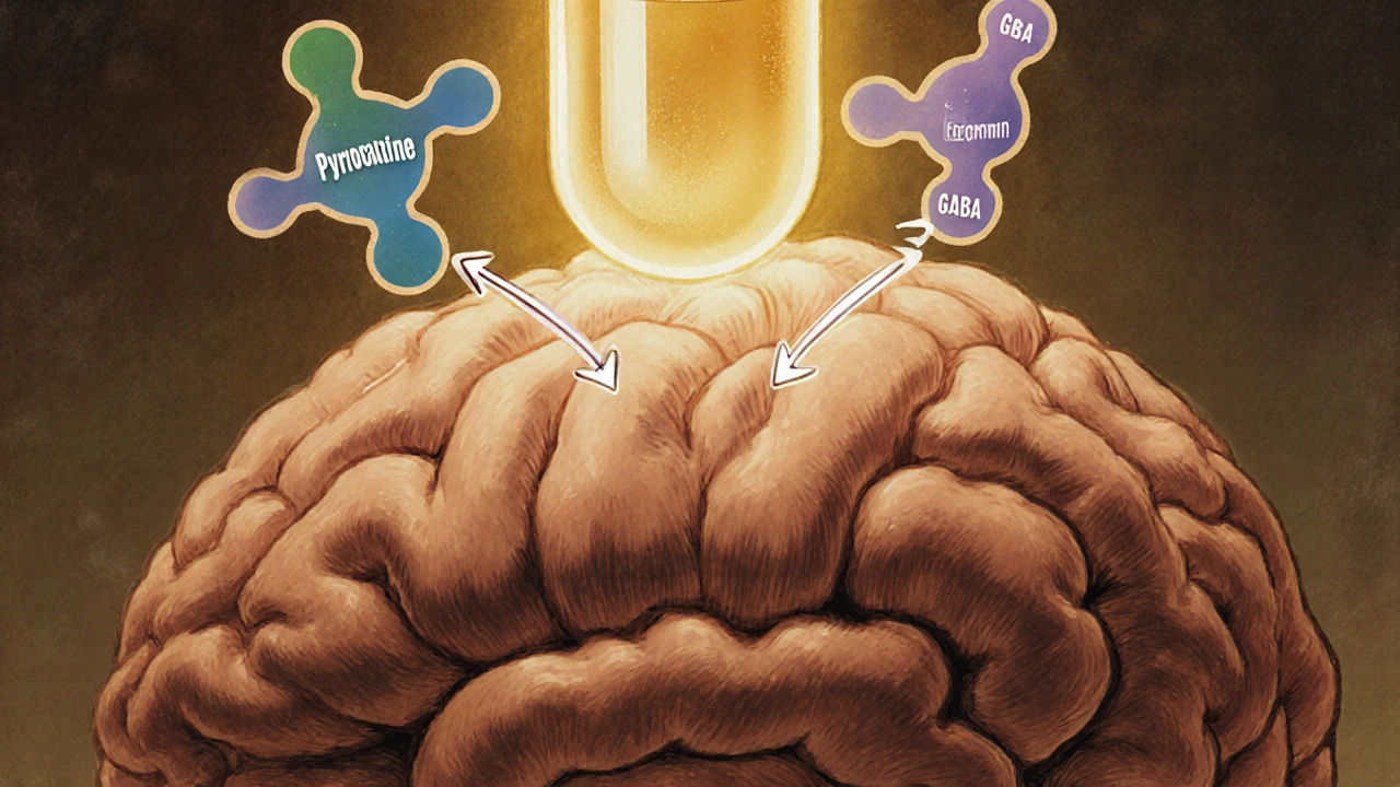 How Pyridoxine Helps Manage Stress and Anxiety